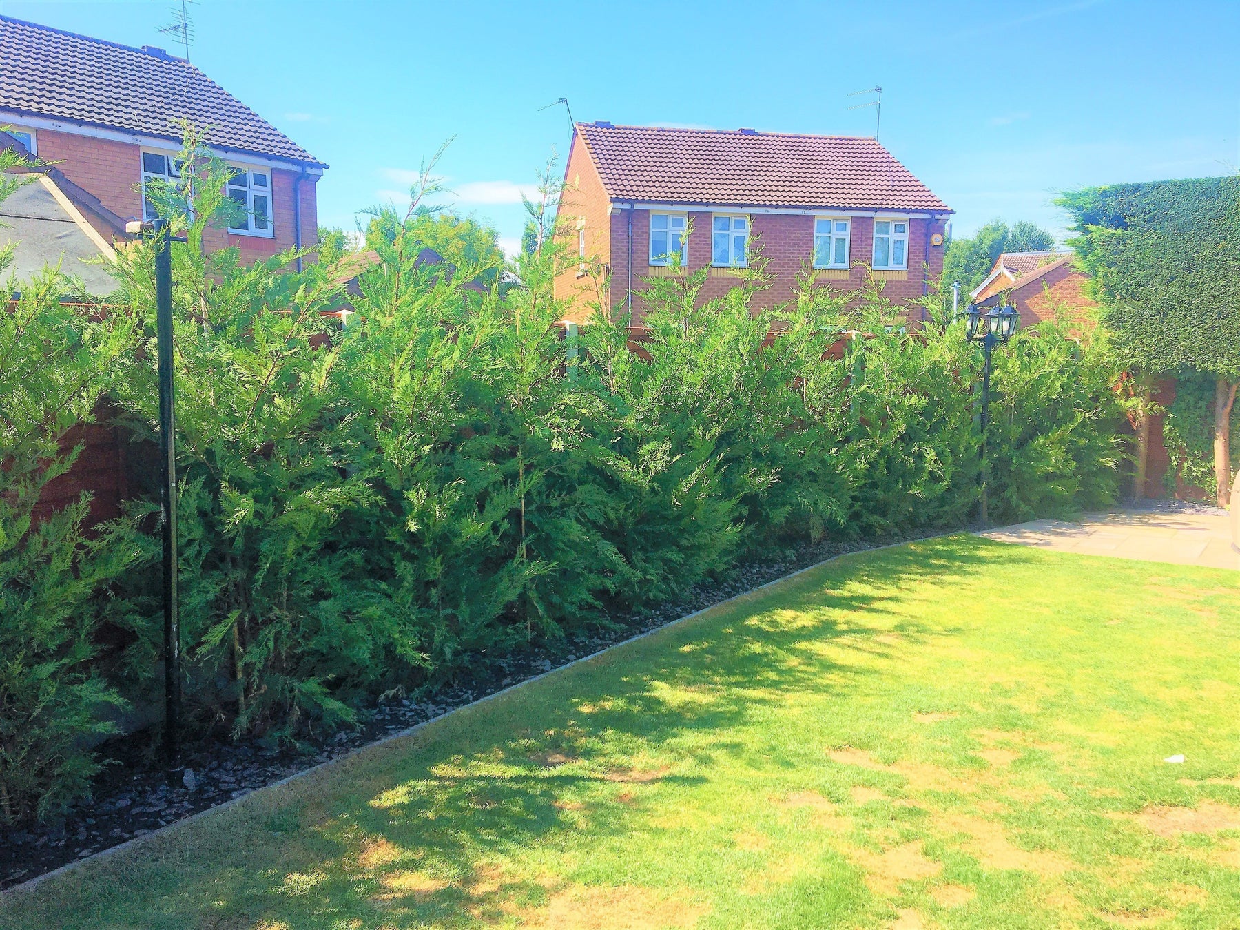 Leylandii Hedging for Ultimate Fast Privacy