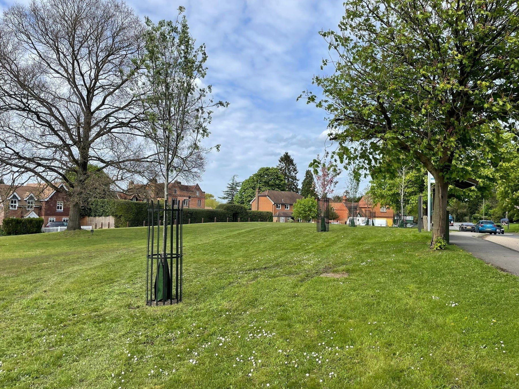why leading hedge supplier partnered with managed acres