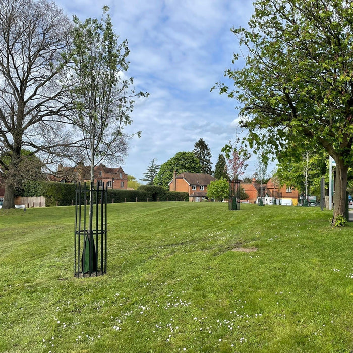 why leading hedge supplier partnered with managed acres