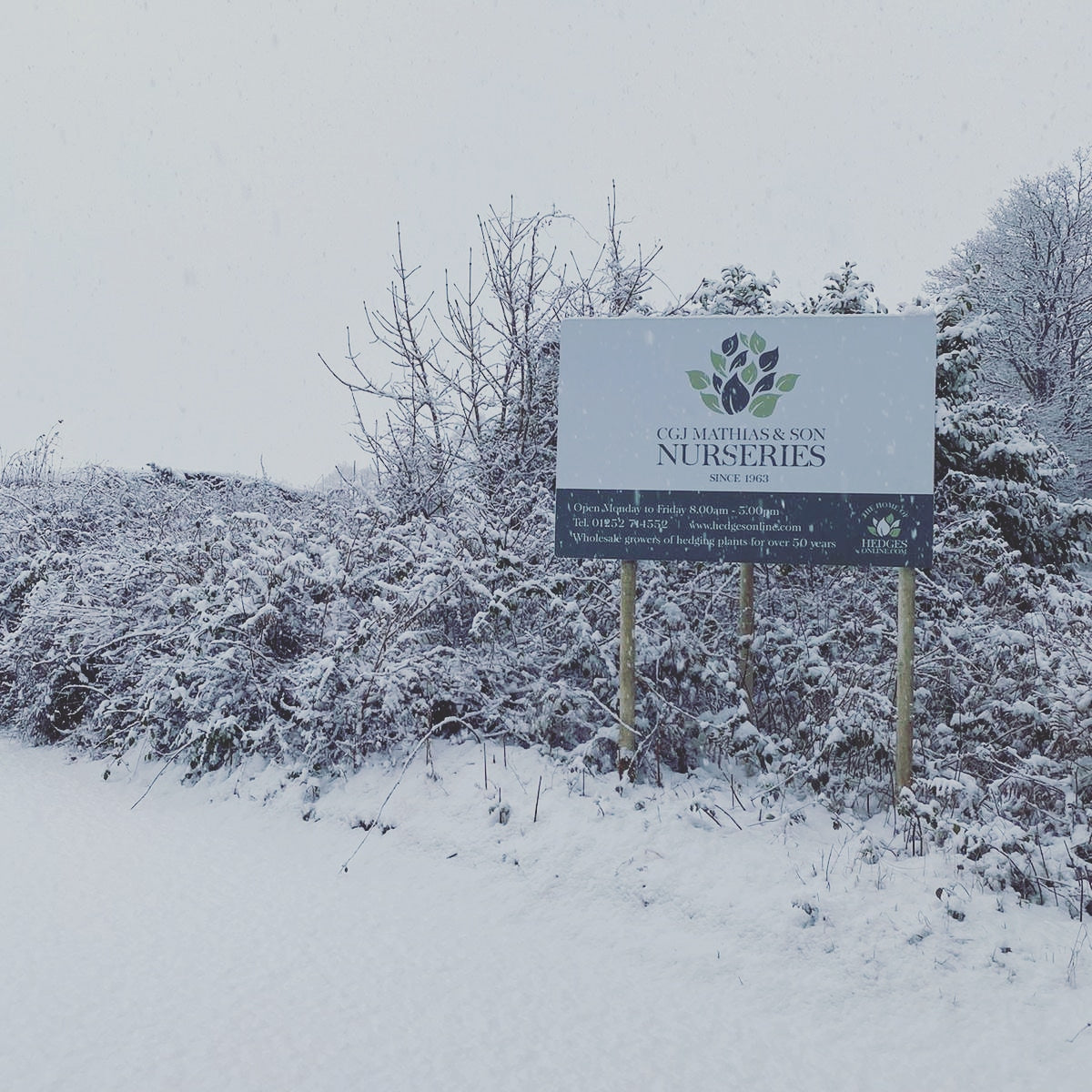 mathias nurseries in winter