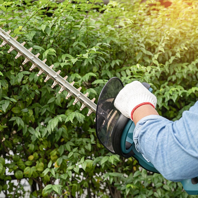 Gardener trimming a large hedge