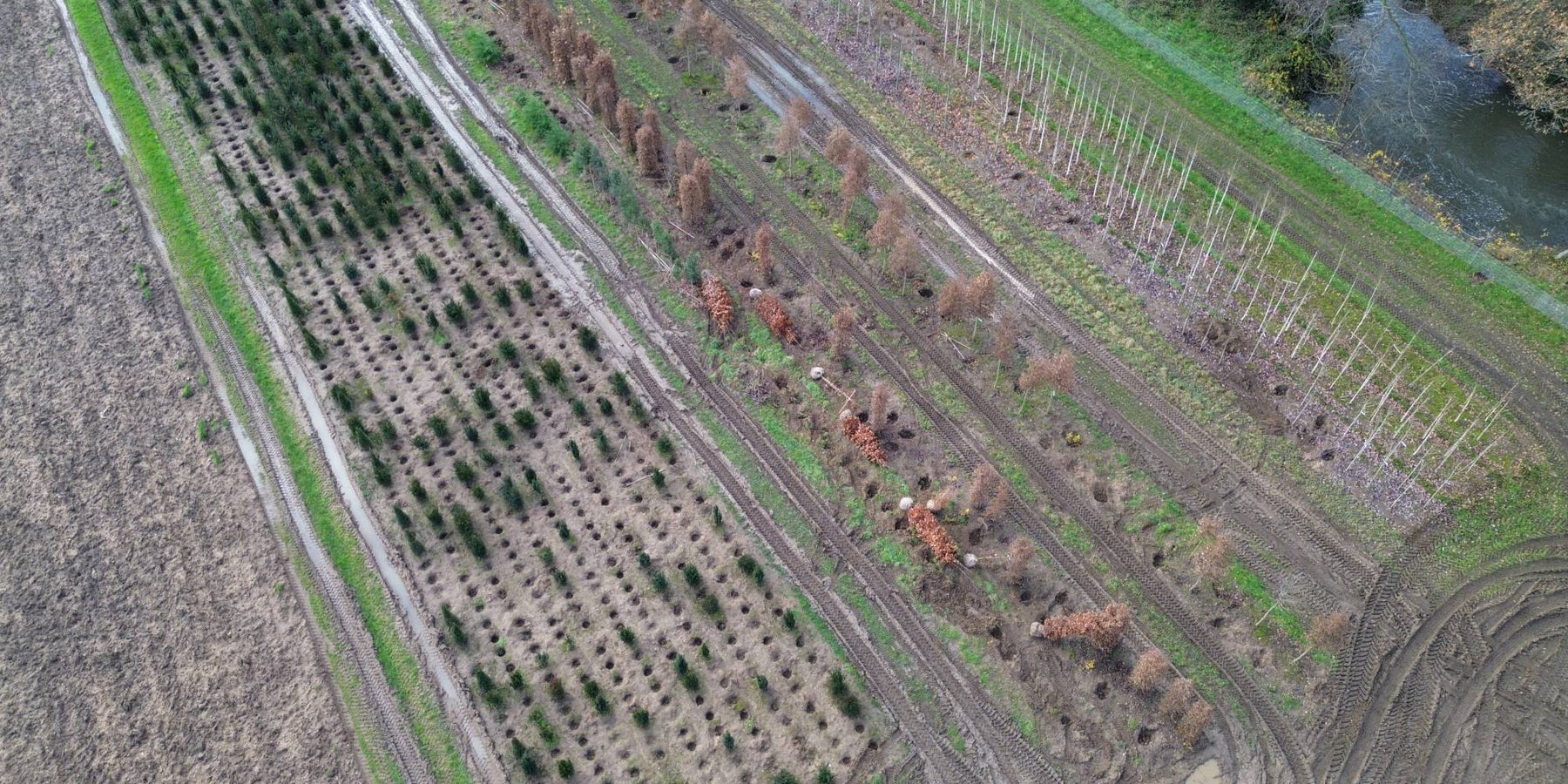 mathias nurseries 2025 recap