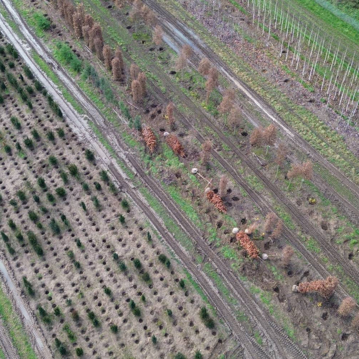 mathias nurseries 2025 recap