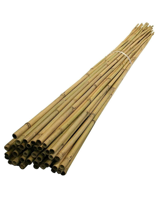 Bamboo Cane 3ft (90cm)